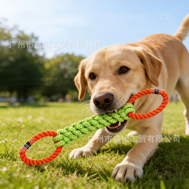 Corn Dog Stick - Jouet pour chien en corde de