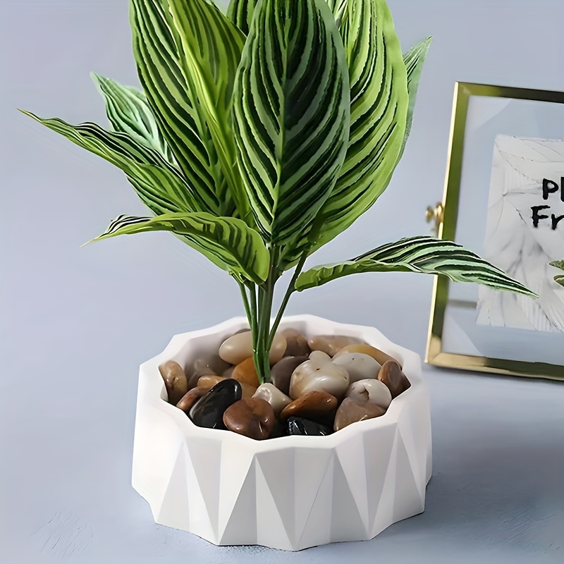 1/2 pièces Grands moules en si - Potsticker Mold avis et prix