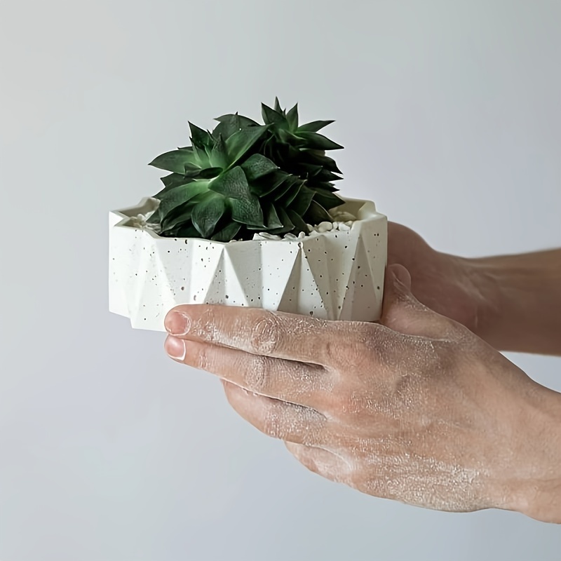 1/2 pièces Grands moules en si - Potsticker Mold avis et prix