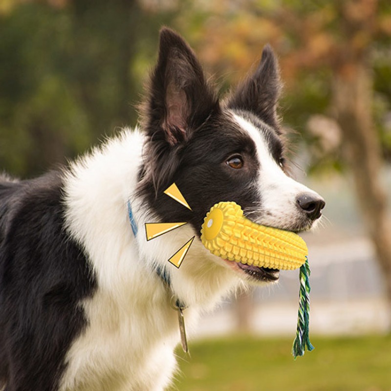 Bâton à mâcher interactif pour - Corn Dog Stick avis et prix