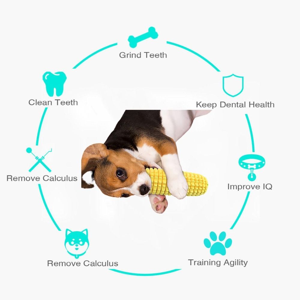 Bâton à mâcher pour chien en c - Corn Dog Stick avis et prix